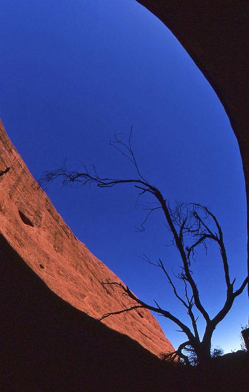 WT 0400 095-29 Australia The Olgas.jpg